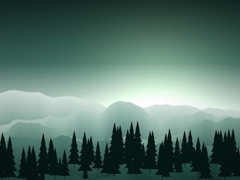 Where the Forest Wakes